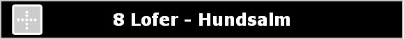 8 Lofer - Hundsalm